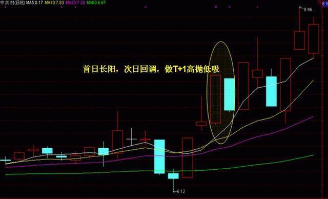 澳门一码一码100准确，澳门一码一码，揭秘准确预测的神秘面纱