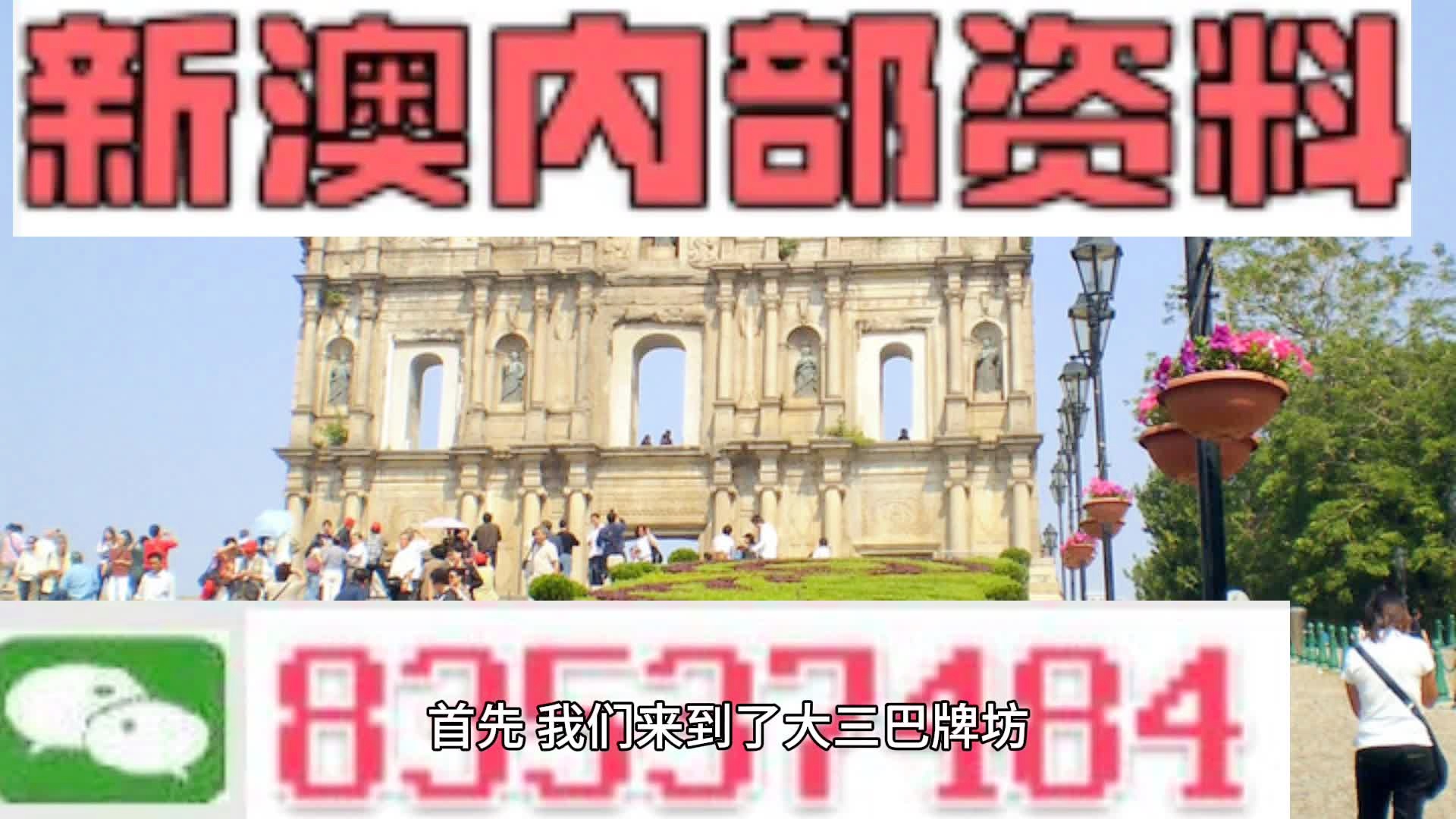新澳2025正版免费资料，新澳2025正版免费资料，探索与揭秘