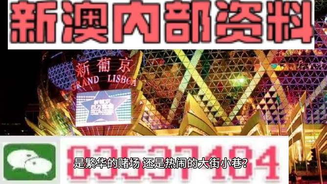 新澳门精准资料大全管家婆料，新澳门精准资料大全与管家婆料，探索与解析