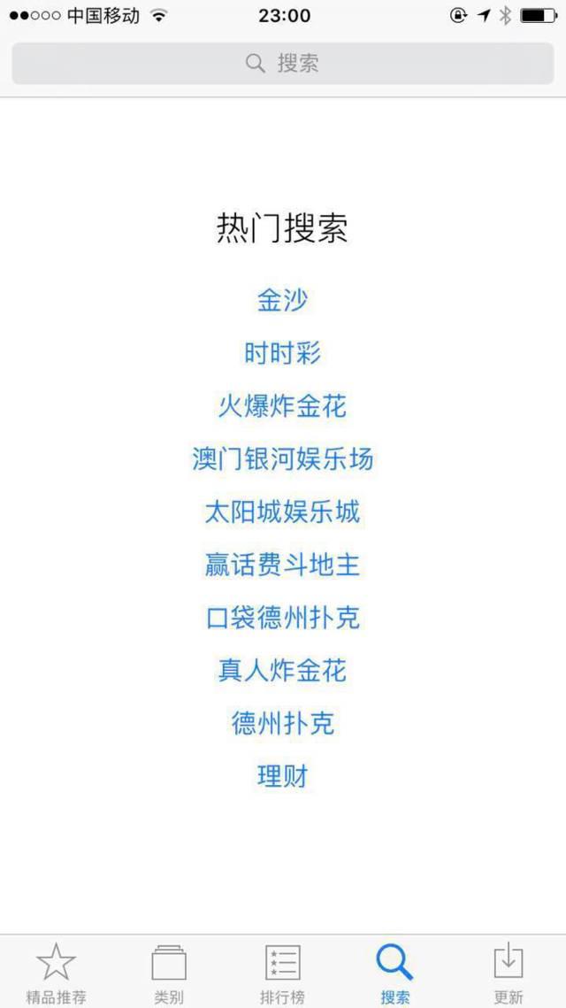 新澳门天天开好彩大全，新澳门天天开好彩大全，探索彩票的魅力与奥秘