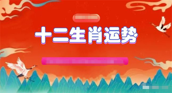 澳门一肖一码一必中一肖雷锋，澳门一肖一码一必中一肖雷锋——探寻背后的故事与意义