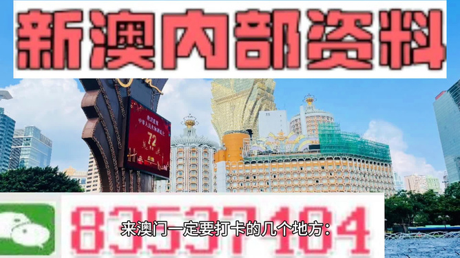 2025澳门天天开好彩精准24码，澳门彩票的未来展望，精准预测与期待每一天的好彩头