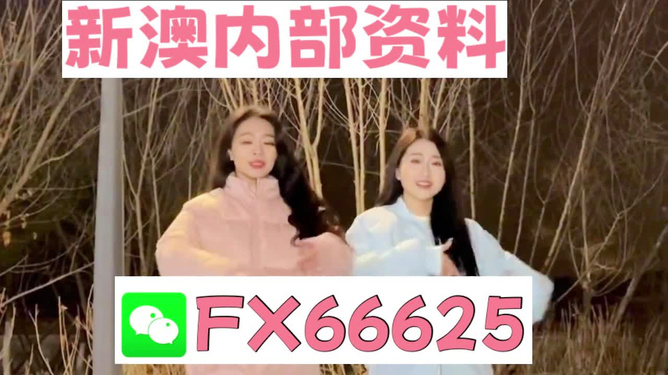 管家婆一码一肖一种大全，管家婆一码一肖一种大全，揭秘背后的秘密与真相
