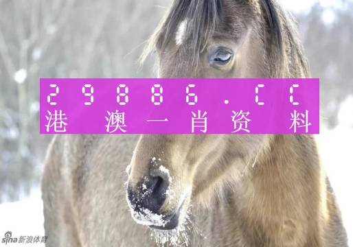 澳门精准一肖一码100%，澳门精准一肖一码，揭秘背后的秘密与真相