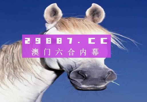4949澳门免费精准大全，澳门免费精准大全，探索4949的魅力与实用指南