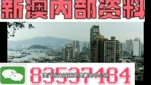 新门内部资料精准大全，新门内部资料精准大全，深度探索与全面解析