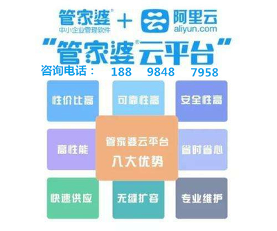 澳门管家婆100%精准，澳门管家婆，揭秘精准预测的神秘面纱