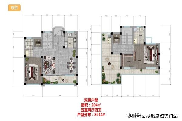 2025新奥精准正版资料，探索未来奥秘，2025新奥精准正版资料解析