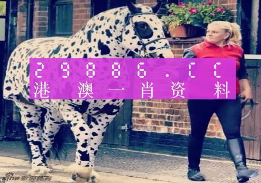 最准一肖一码一一香港澳王一王，最准一肖一码一一香港澳王一王，揭秘神秘预测背后的真相