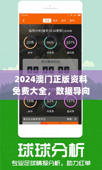新澳精准资料免费提供510期，新澳精准资料免费提供，探索第510期的奥秘与价值