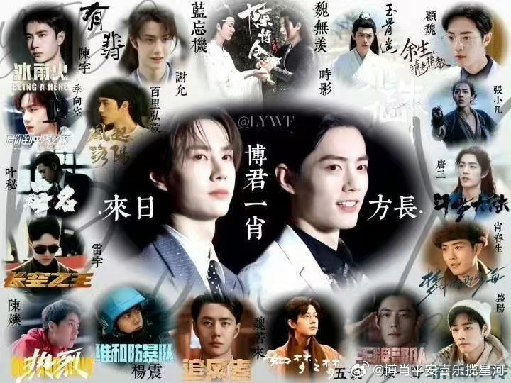 一肖一码一一肖一子，一肖一码一一肖一子，探寻背后的神秘与深意