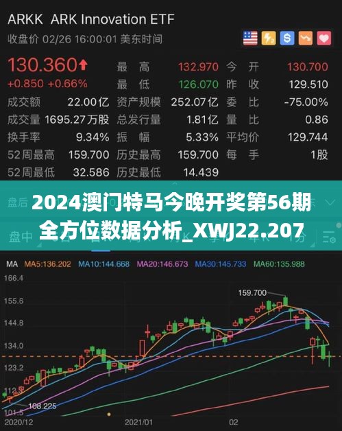 2025年澳门特马今晚，探索澳门特马的世界，2025年的今晚