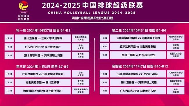 新奥门资料大全正版资料2025年，新澳门资料大全正版资料2025年，深度解读与预测分析