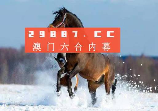 澳门精准一肖一码一一中，澳门精准一肖一码一一中，探索命运之轮的神秘面纱