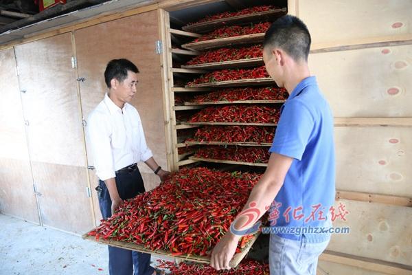 香港王中王资料完整版，香港王中王资料完整版，揭秘传奇人物背后的故事