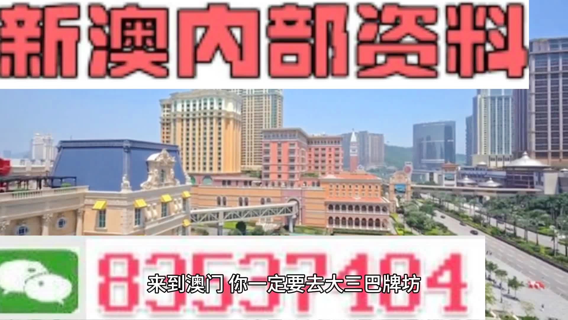 新奥门免费全年资料查询，新澳门免费全年资料查询，探索与解读