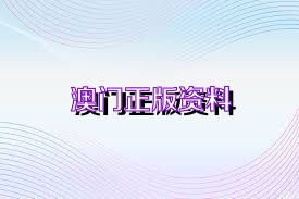 澳门正版资料免费精准，澳门正版资料免费精准，探索与解析