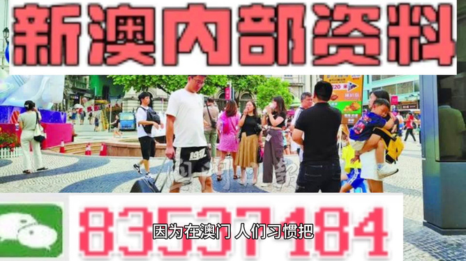 2025澳门正版免费精准资料，澳门正版免费精准资料，探索未来的机遇与挑战