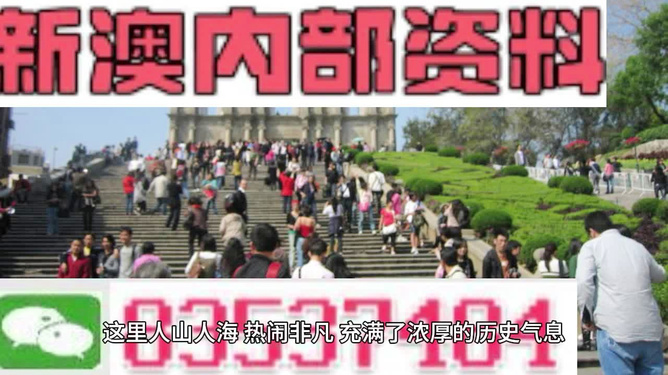 澳门最精准内部资料，澳门最精准内部资料详解