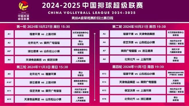 新澳门天天彩2025年全年资料，新澳门天天彩2025年全年资料解析与预测