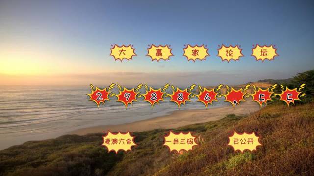 2025澳门天天开好彩正版挂牌，澳门正版挂牌2025展望，天天开好彩的愿景与挑战
