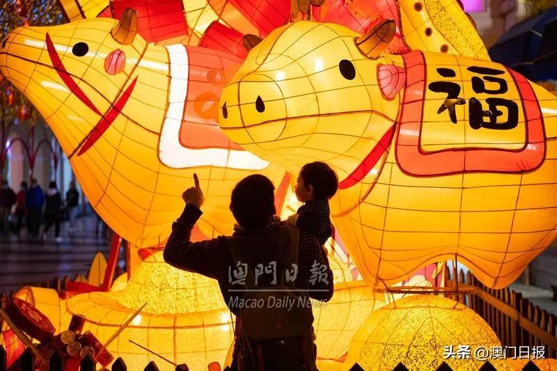 澳门六开彩+开奖结果查询金牛，澳门六开彩与金牛开奖结果查询，探索彩票世界的奥秘与乐趣