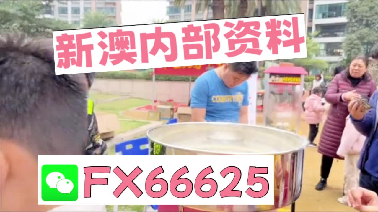 新澳天天开奖资料大全153期，新澳天天开奖资料大全第153期详解
