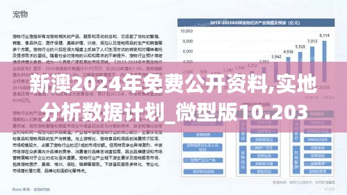 新澳2025年精准正版资料,，新澳2025年精准正版资料的重要性及其影响