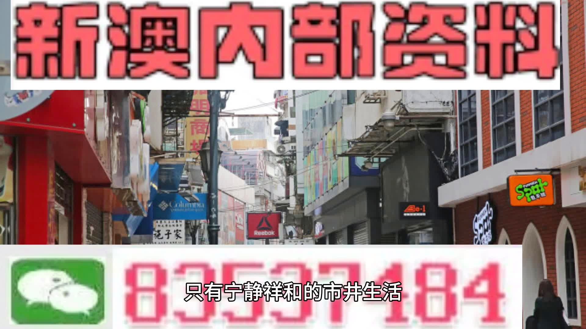 新澳门资料大全正版资料2025年最新版下载，新澳门资料大全正版资料2025年最新版下载，探索与体验