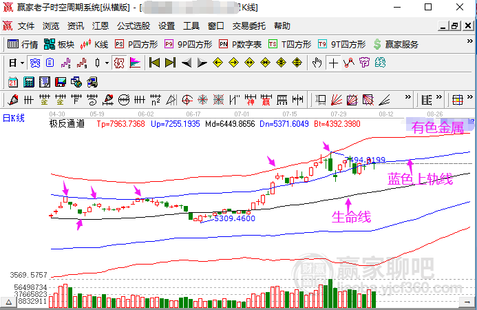 澳门今晚出什么特马肖9点半，澳门今晚特马肖预测与解读（9点半时段分析）