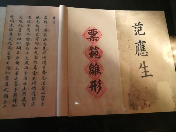 妃儿澳门资料大全，妃儿澳门资料大全，深度探索与解析