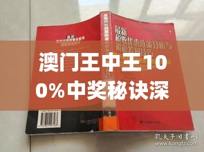 澳门王中王100期期中一期林，澳门王中王100期期中一期林，探索与解析