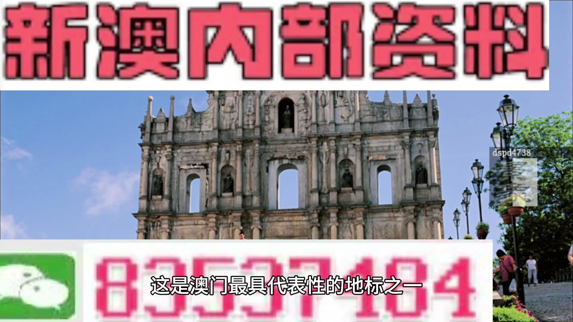 新澳精选资料免费提供，新澳精选资料免费提供，探索知识与信息的海洋