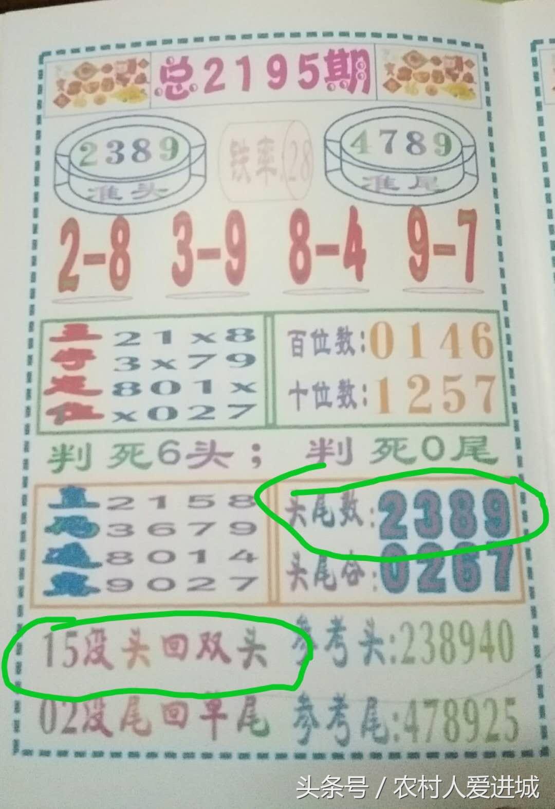 新澳门一肖中100%期期准，揭秘新澳门一肖中100%期期准的秘密