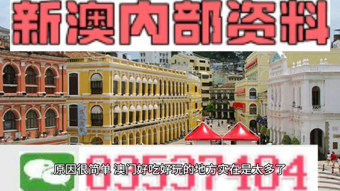 新澳门内部一码最精准公开，新澳门内部一码最精准公开，探索真实与信任的交汇点