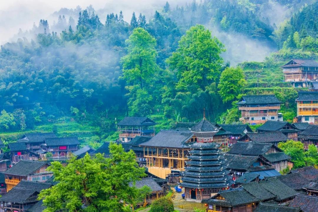 一码一码中奖免费公开资料，一码一码中奖，免费公开资料的探索之旅