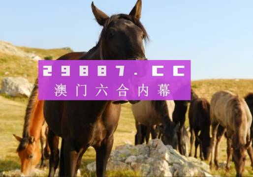 2025澳门管家婆三肖100%，关于澳门管家婆三肖预测的研究与探讨