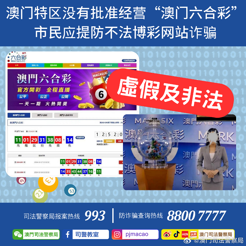 新澳门335期资料，新澳门335期资料详解