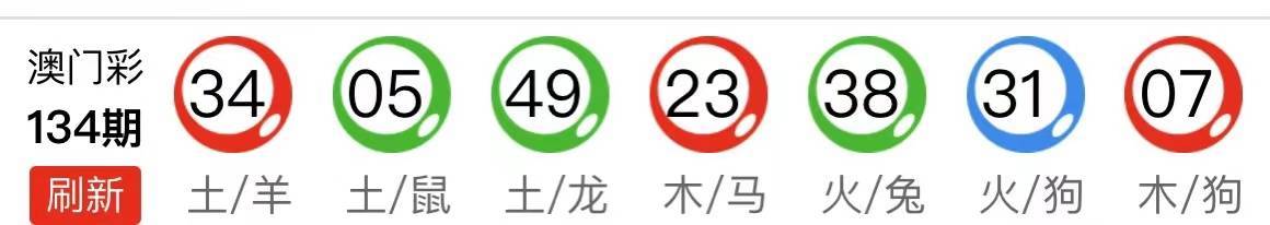 新澳门马会资料10码中特，新澳门马会资料，探索10码中特的奥秘