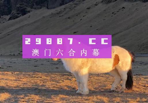 澳门一肖一码100，澳门一肖一码100，探索背后的神秘与魅力