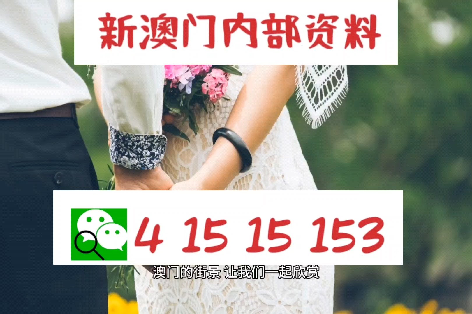 澳门100%最准一肖，澳门100%最准一肖，揭秘背后的秘密与真相探寻