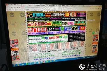 新澳门天天开彩结果出来，新澳门天天开彩，探索彩票背后的故事与结果