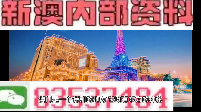 看香港正版精准特马资料，探索香港正版精准特马资料的世界