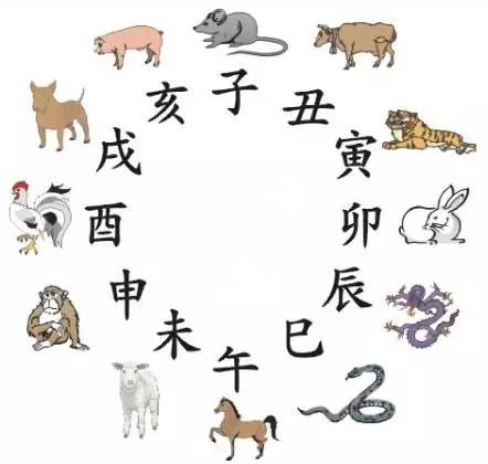 2025十二生肖49码表，揭秘2025十二生肖与49码表的不解之缘
